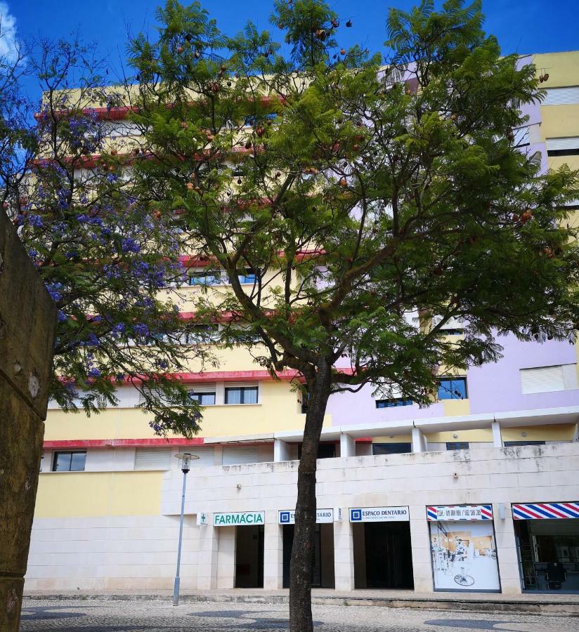 Jardim Dos Jacarandas * Lisbon