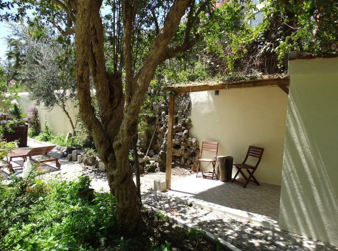 Graca Palace With Private Pool Garden Apartment Lisbon
