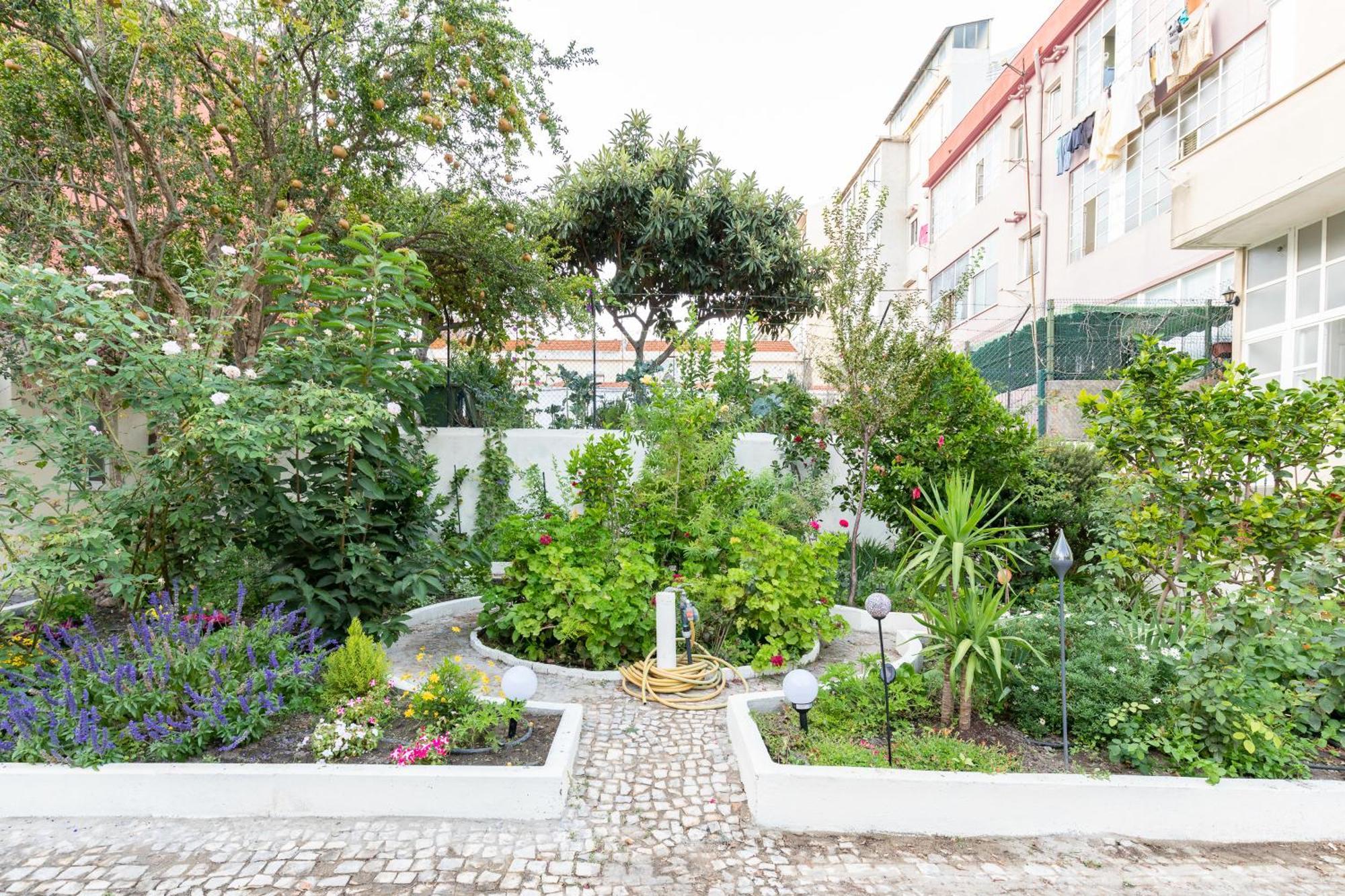 Graca Palace With Private Pool Garden