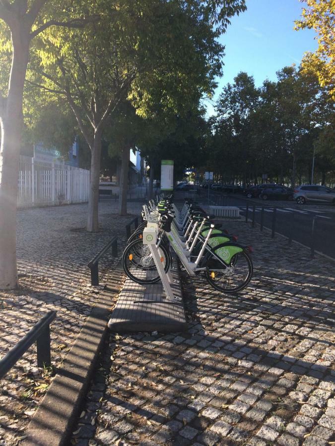 Jardim Dos Jacarandas * Lisbon