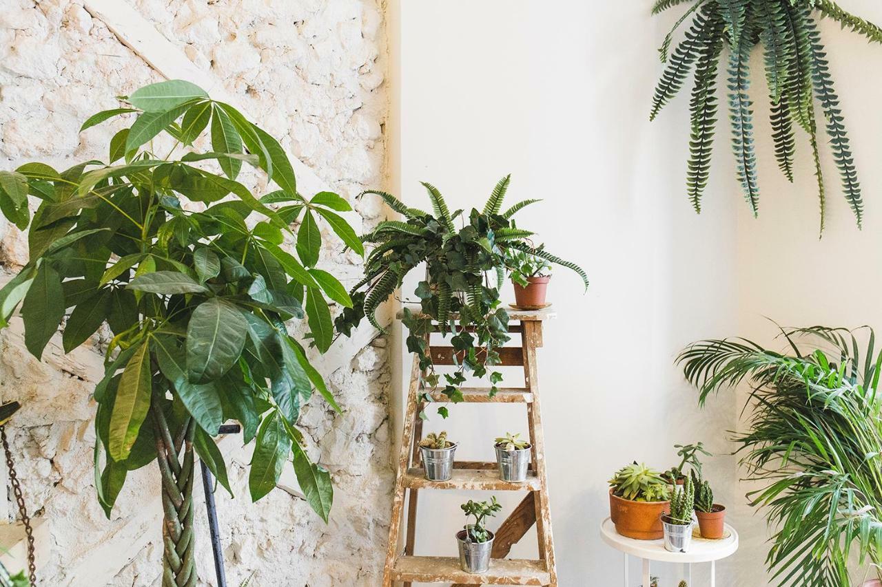 Apartment Fauna & Flora Lisbon