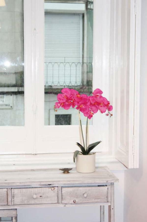 Apartment Spacious And Elegant Family - Bp1 *