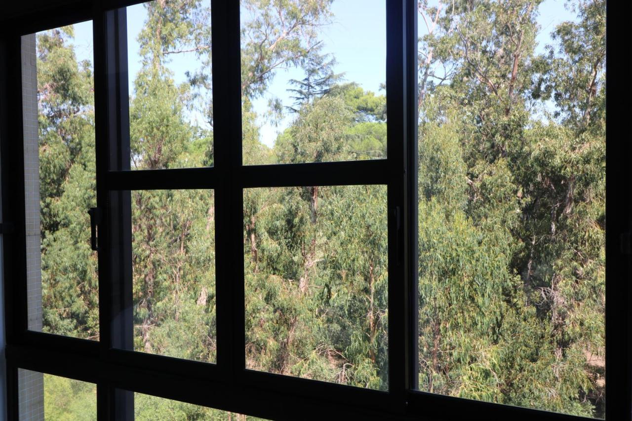 Treetops Apartamento