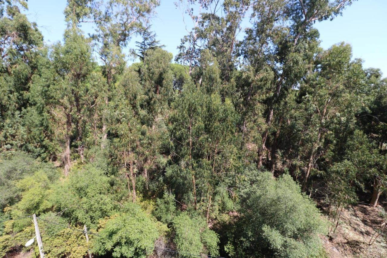 Apartamento Treetops *
