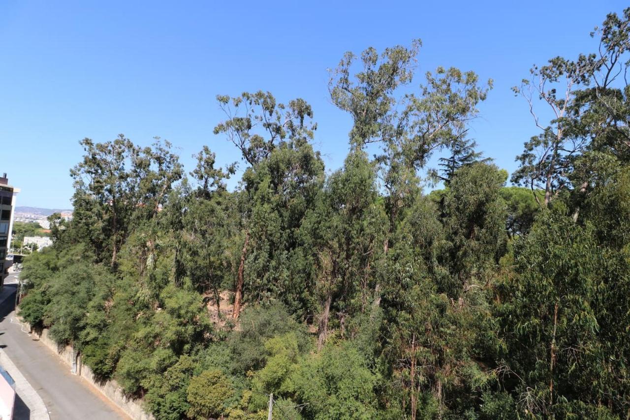 Treetops *
