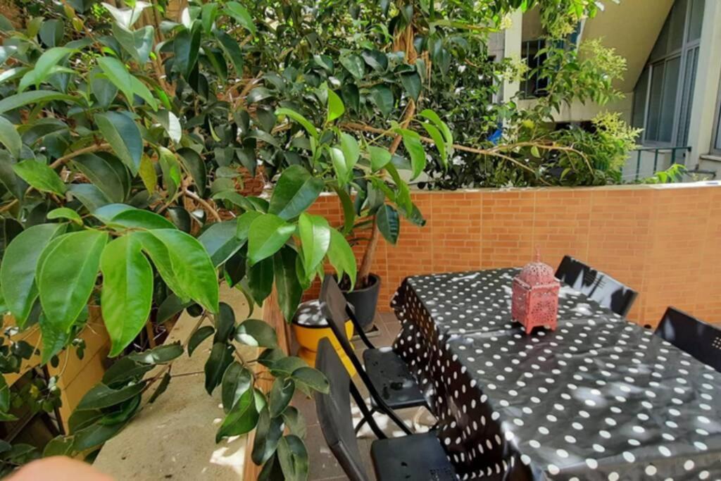 Charming Sunny Terrace / One Bedroom * Lisbon