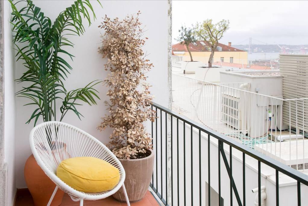 Apartment Principe Real Beautiful View 3 Bedrooms Flat!