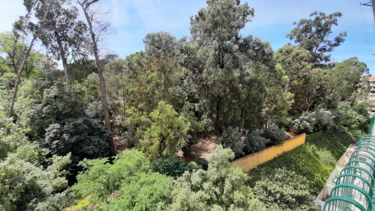 Forest View Lisbon