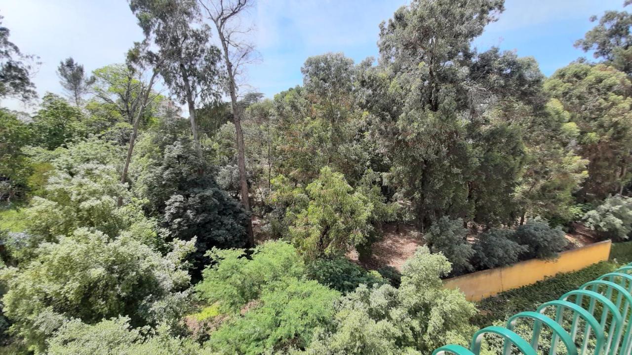 Forest View *
