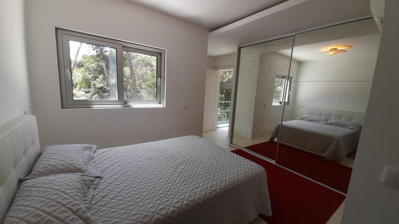 Apartment Forest View Lisbon