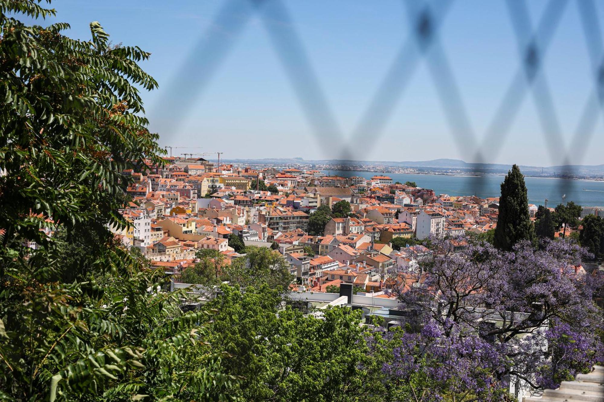 Estrela Duplex With Terrace * Lisbon