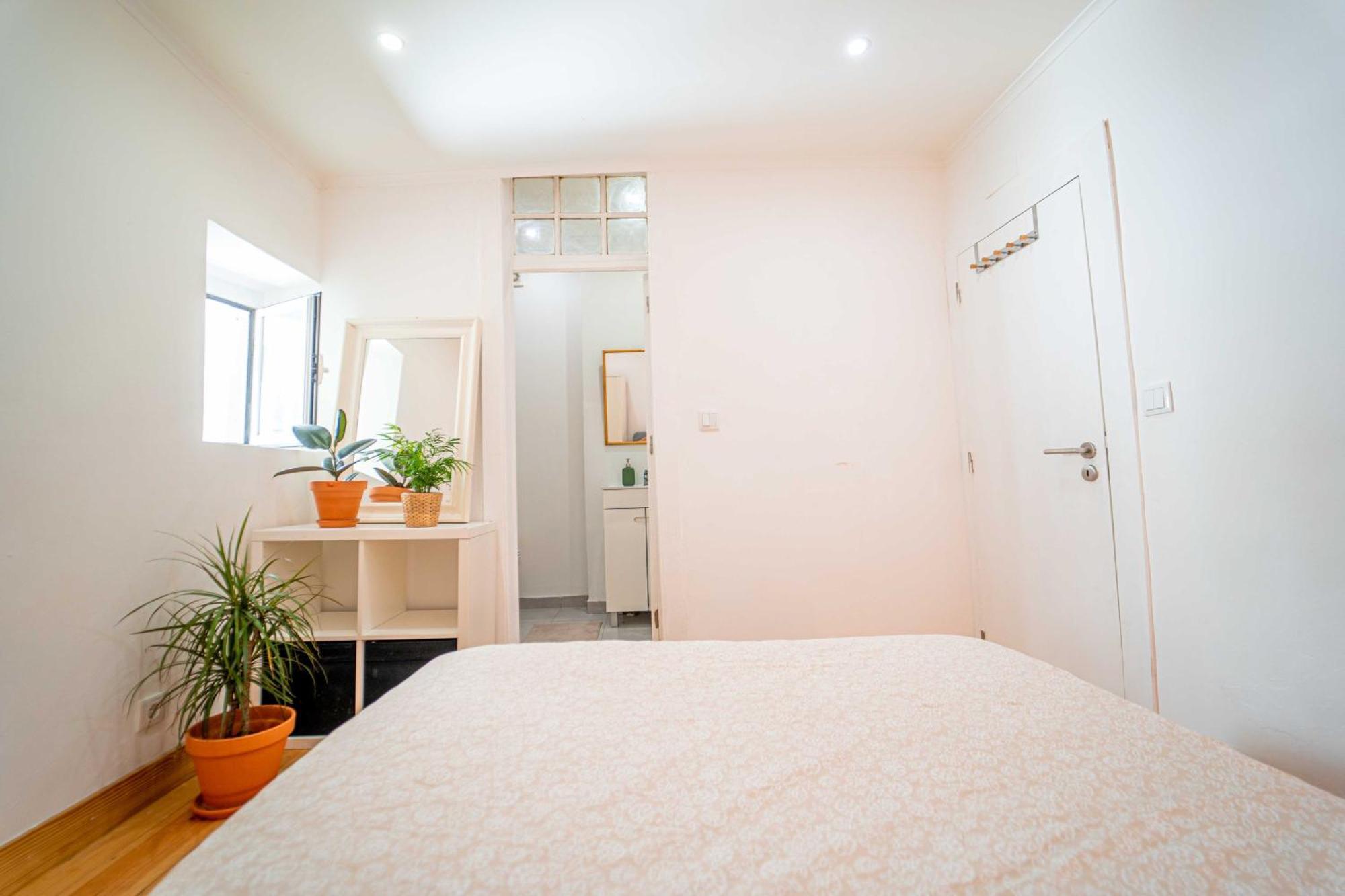 Homestay Lisbon Stays