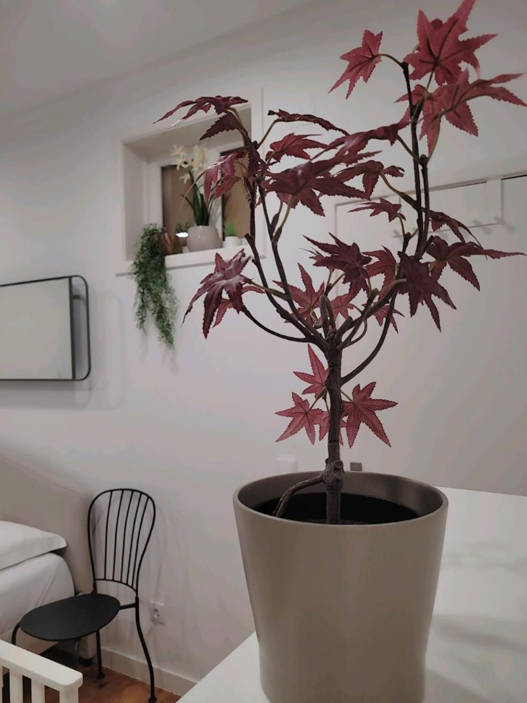 Quarto em Acomodações Particulares Varanda Privada Iroom Lisboa