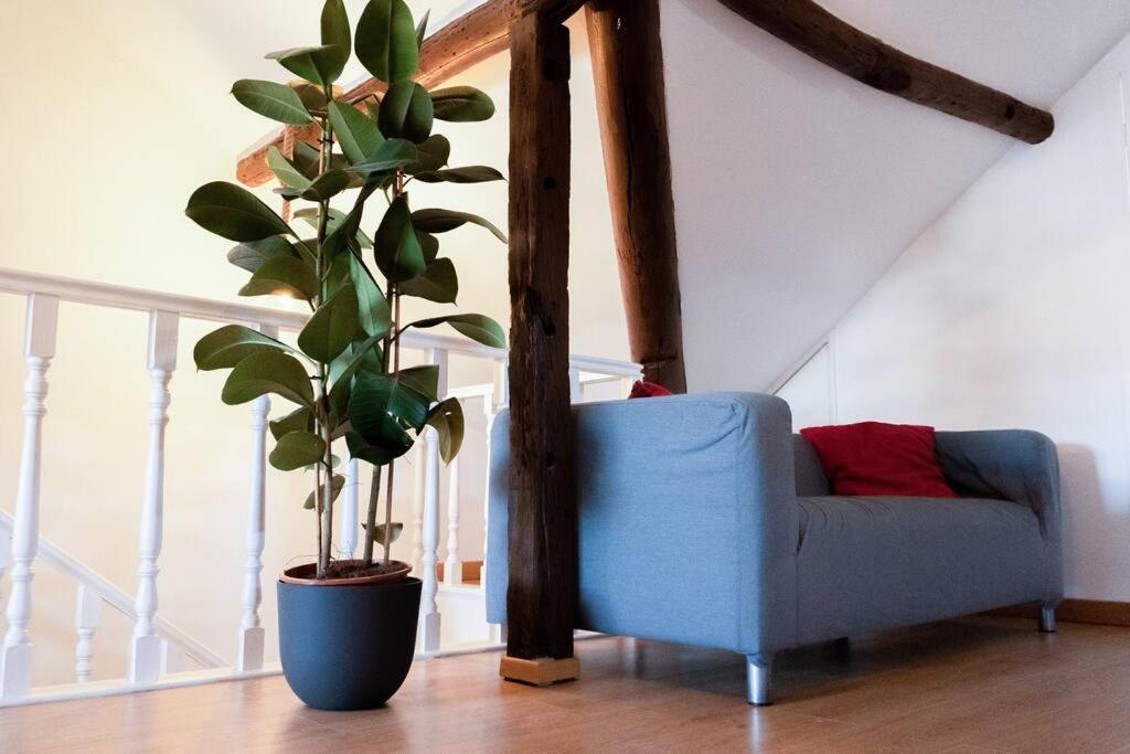 Apartment Sao Paulo Penthouse Duplex With Amazing View Lisbon