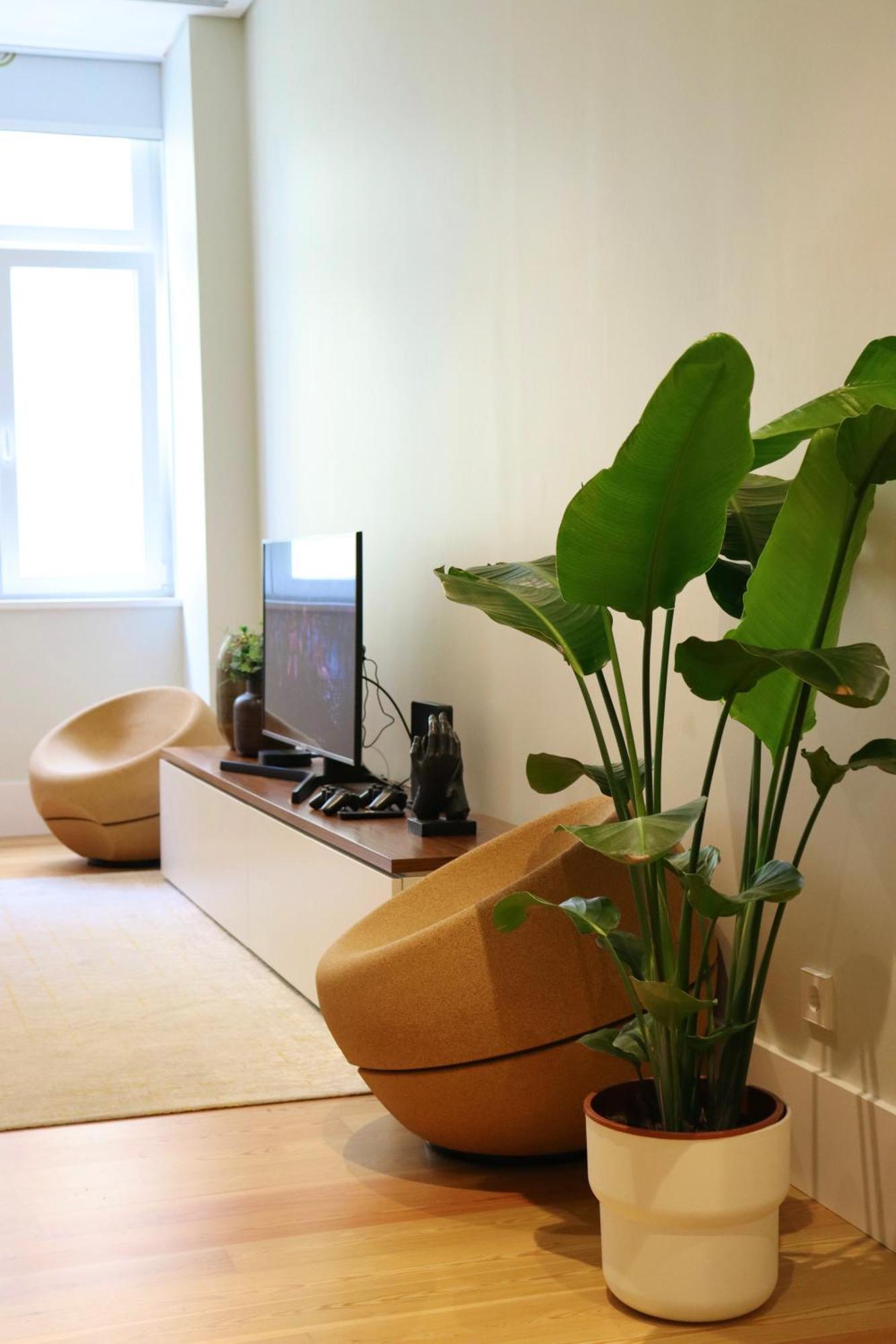 Center Guest house
