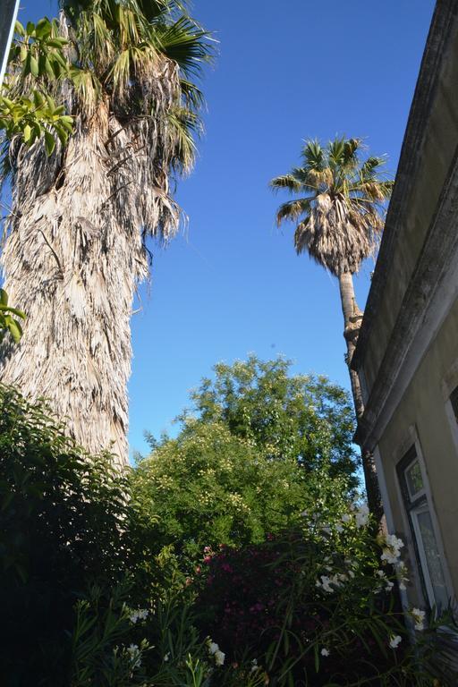 Budget Lisbon