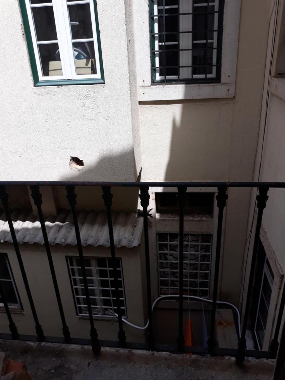 Bed & Breakfast Lisbon Design Hostel