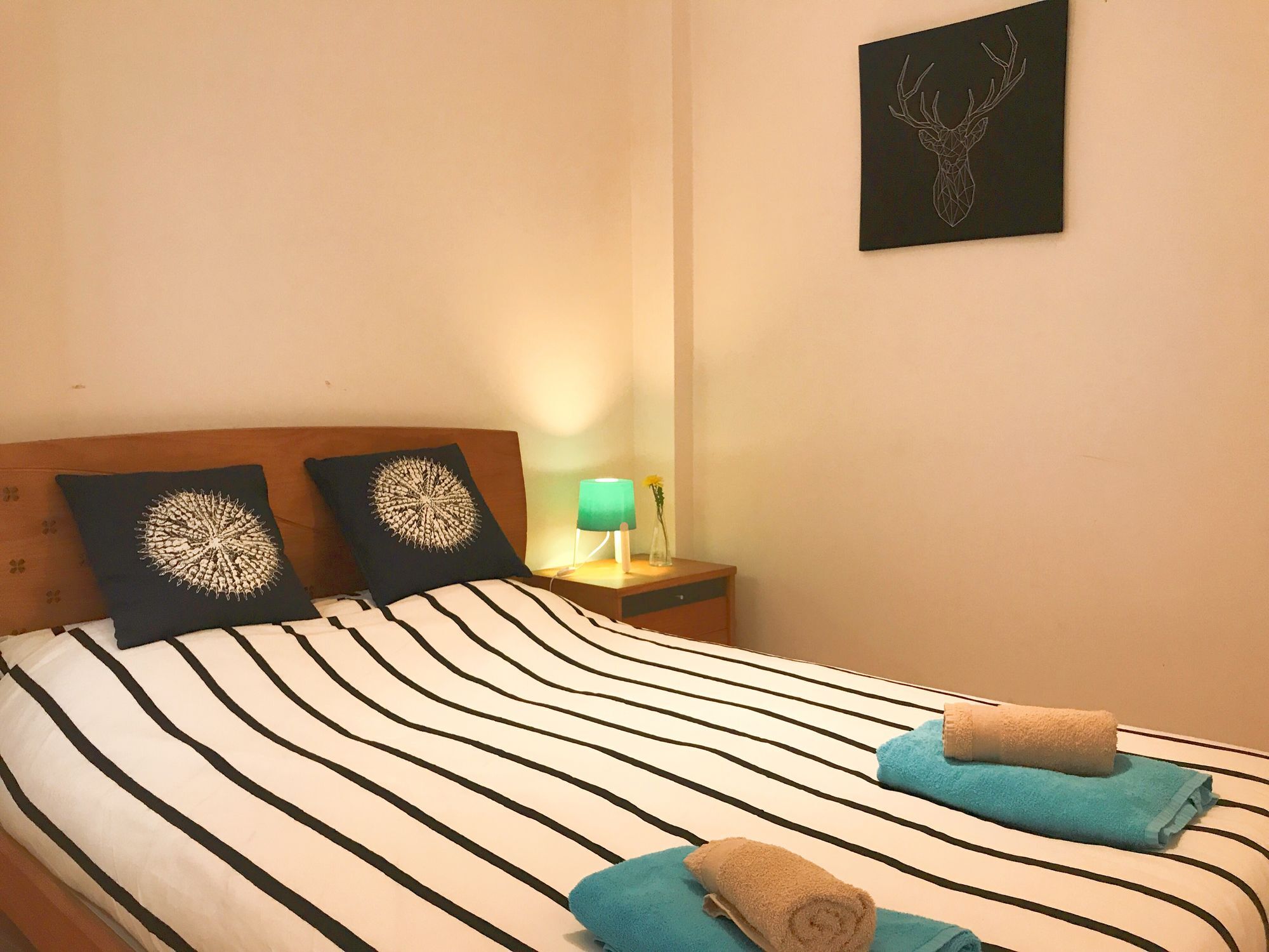 Cosy Almirante By Homing *