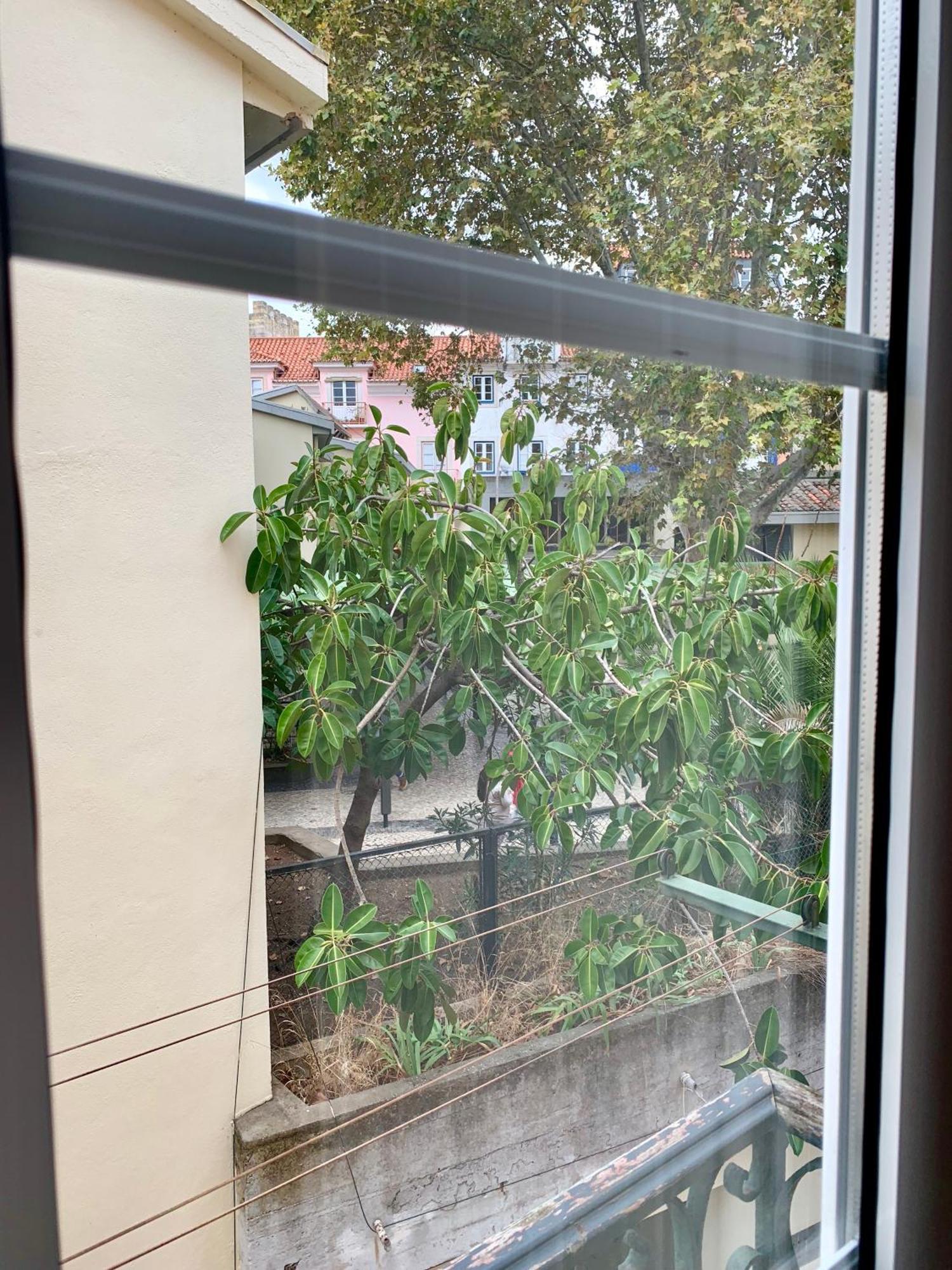 Apartment Center Castelo De Sao Jorge *