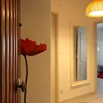 Poppy House In Anjos