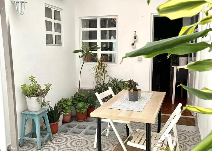 Shared Apartment With Bright Private Patio In Lisboa