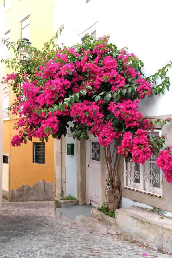 Proa D'alfama Apartamento *