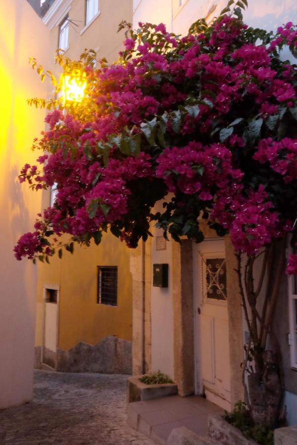 Apartamento Proa D'alfama