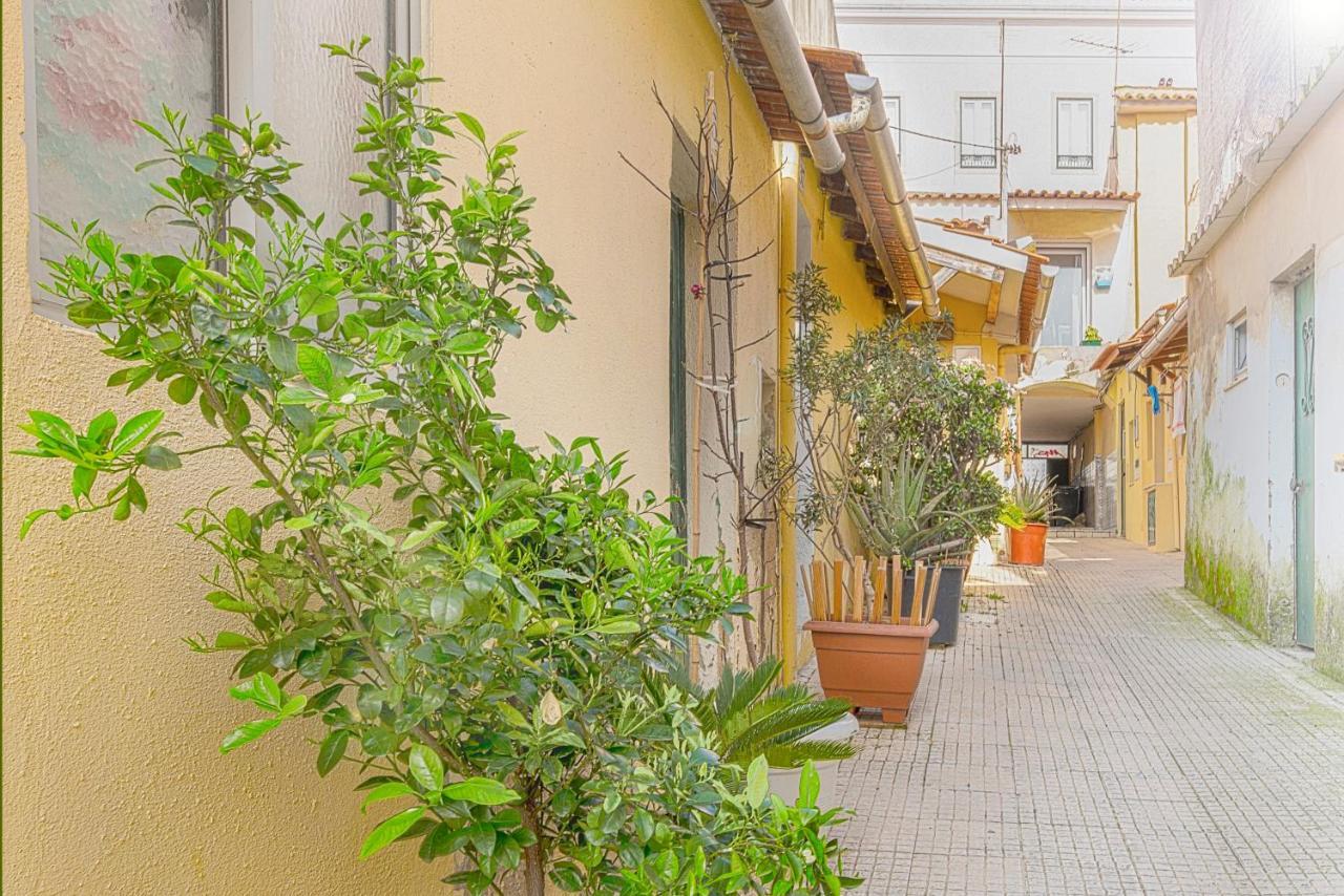 Cosy Duplex House In Downtown