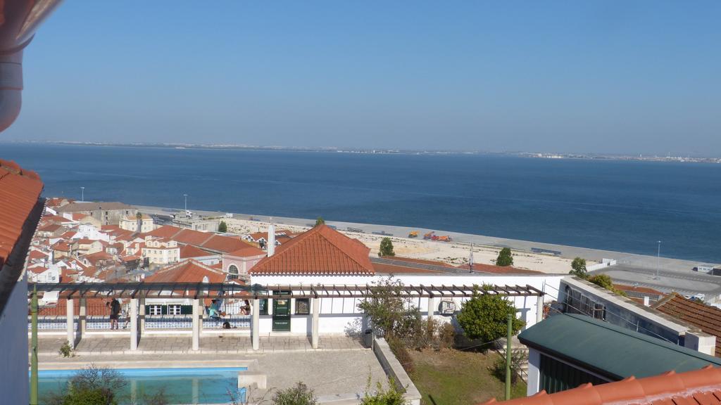 Dalma Flats - Garden *