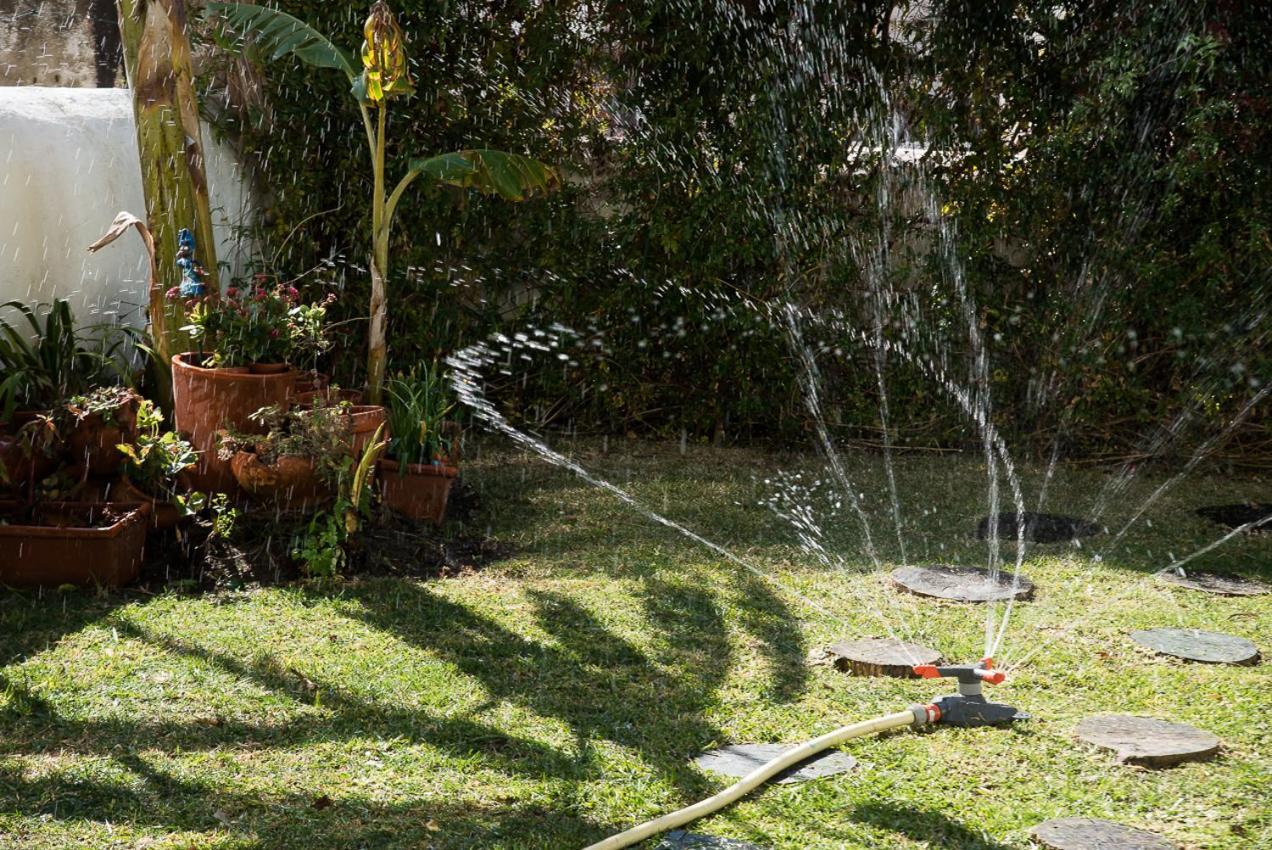 Flat With A Garden In Belem Apartment
