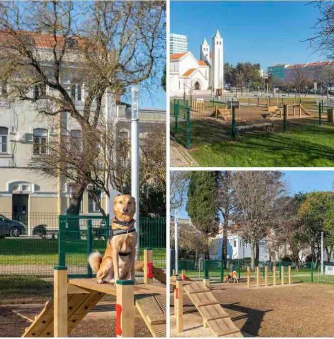 Ola ! Central Lightning Quiet View Garden 10mn Airport Apartamento