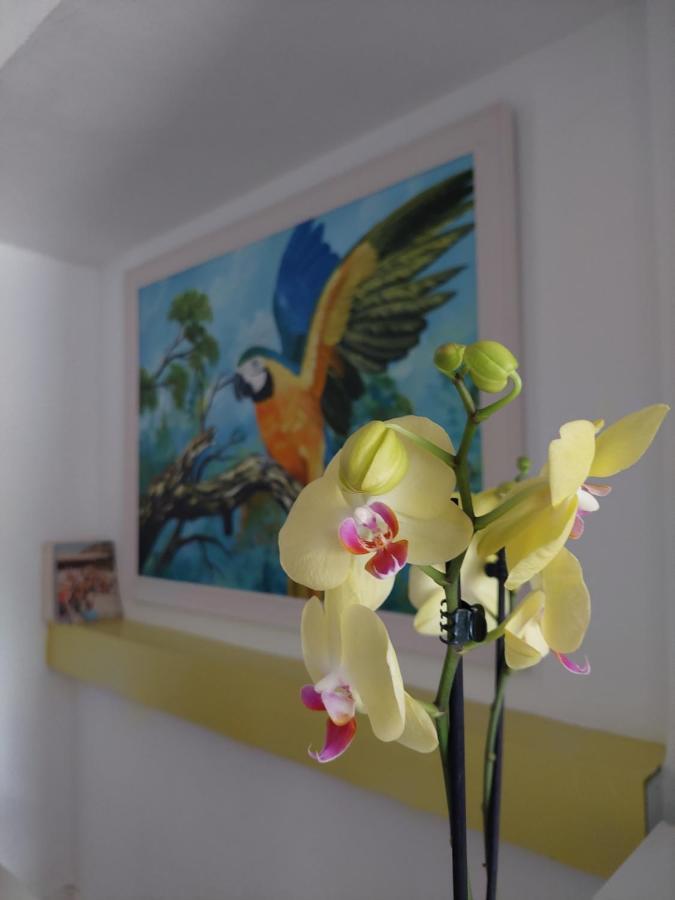 Guest house L83 - And Lisbon