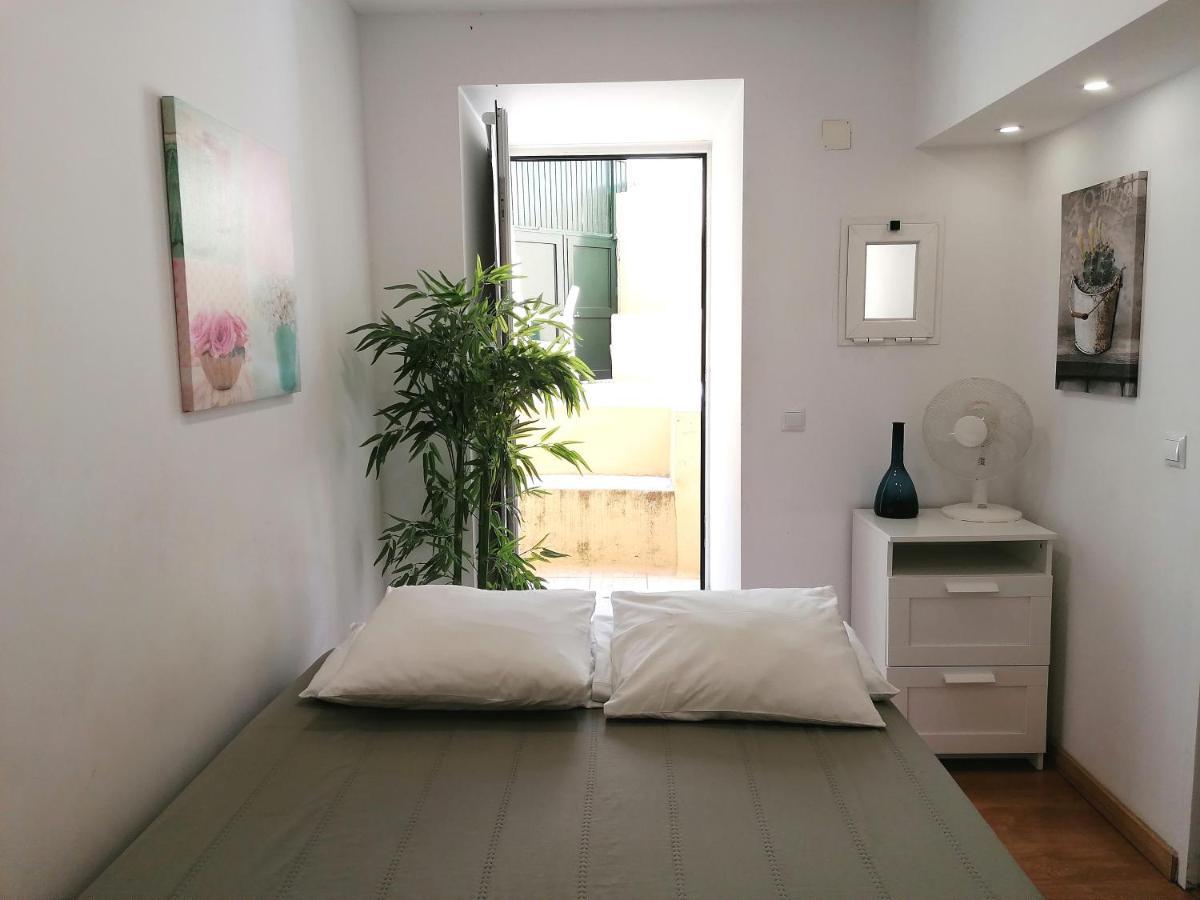 Flowers In Pop House Apartment *