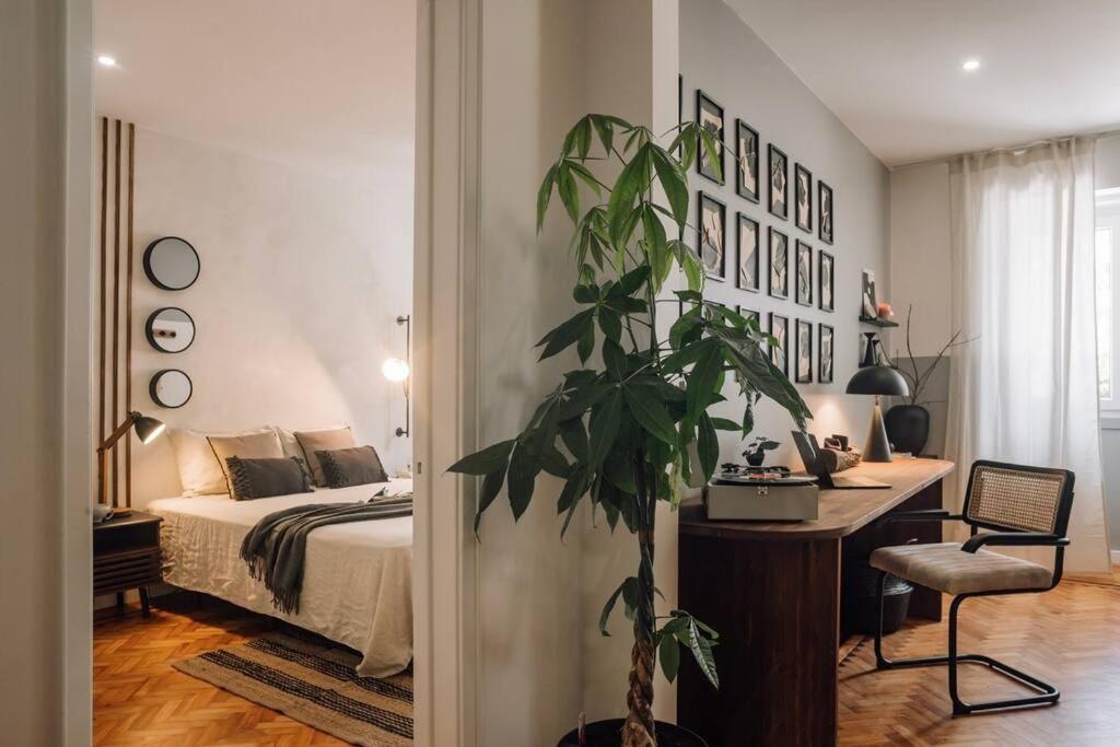Apartment Soum - 2 Bedrooms In Alvalade *