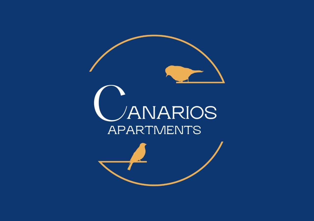 Canarios Catarina Lisbon