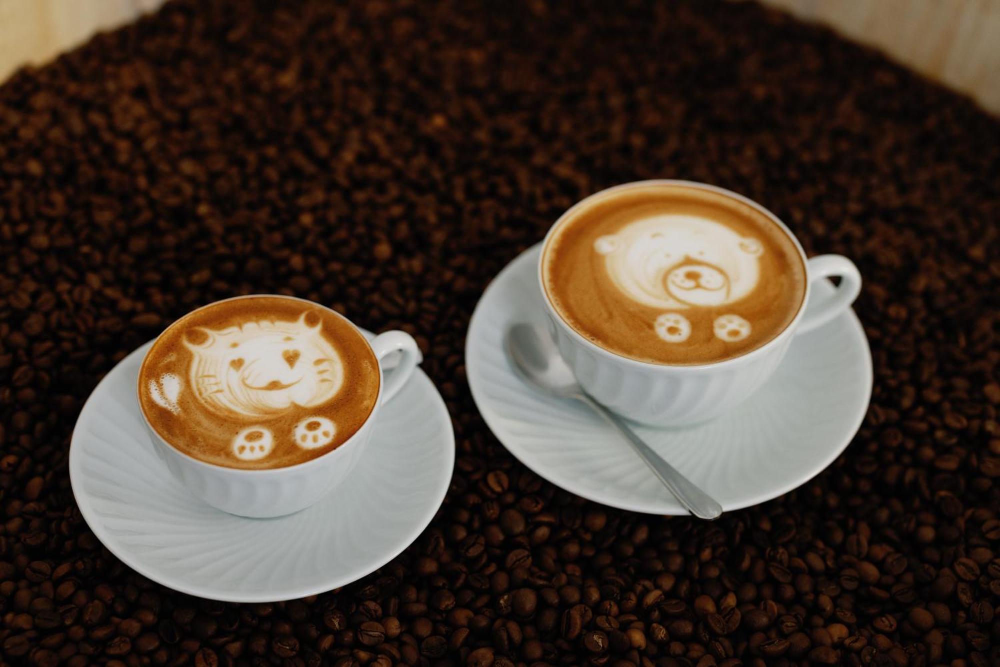 Palacio Do Visconde - The Coffee Experience Lisbon