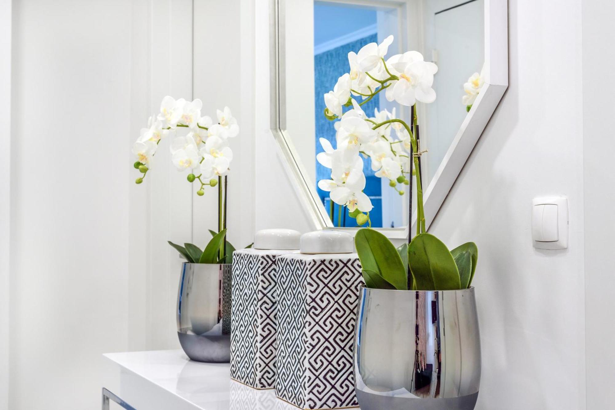 Whome Chic Escape: Your Stylish Haven In Downtown