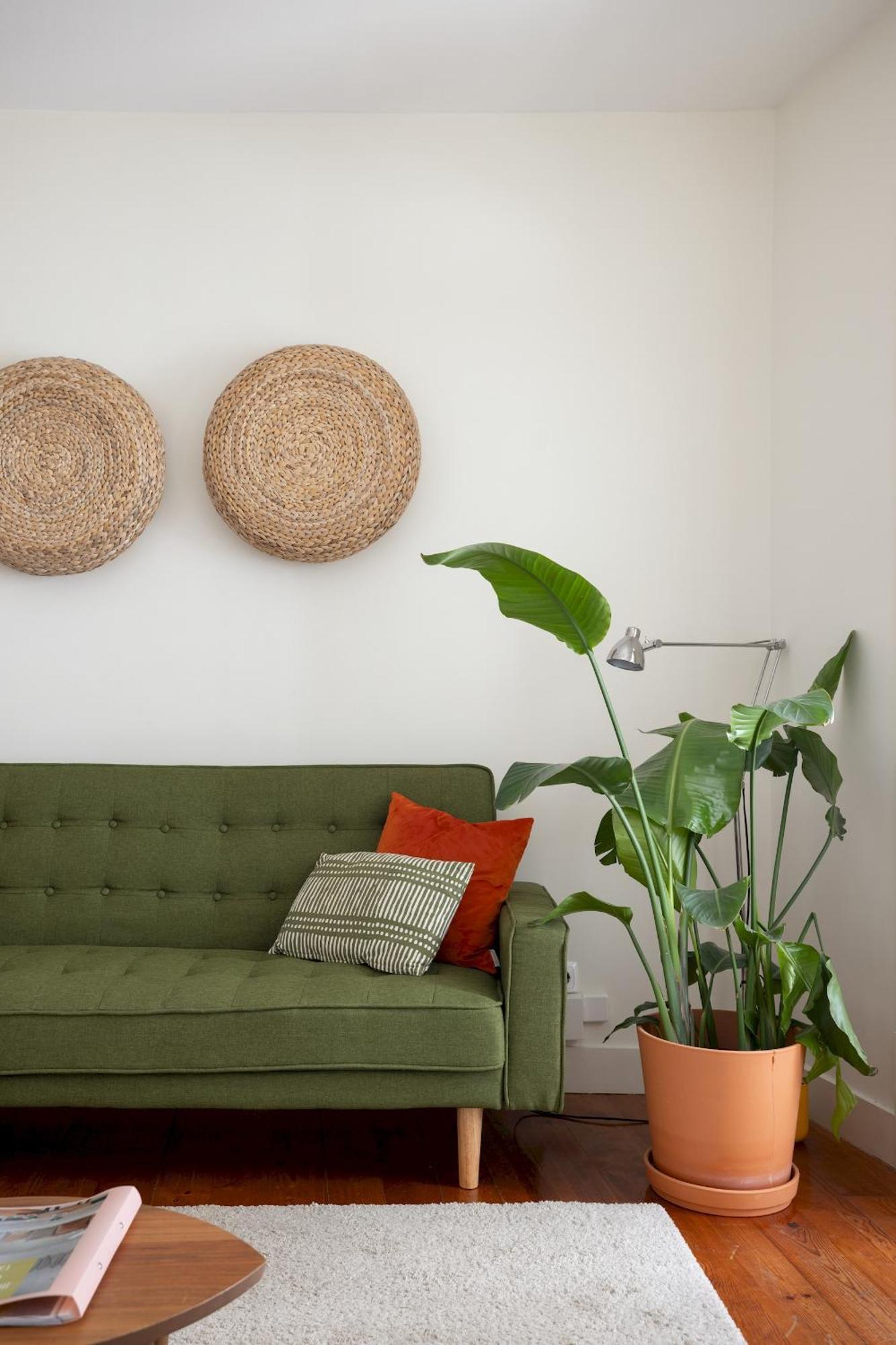 Historical Gem In Santa Catarina *