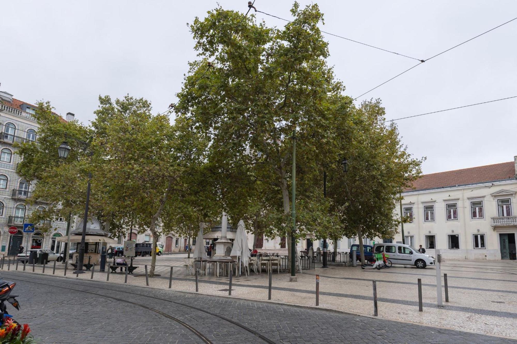 Chiado Center 1bdr Flat By Lovelystay Apartment Lisbon