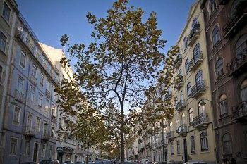 Hotel Valmor Lisboa