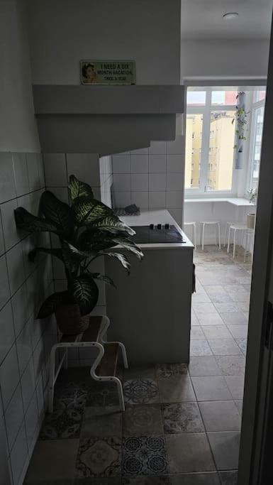 Homestay Only 3 People Center Of Lisbon