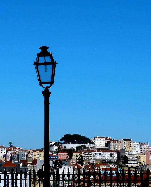 The Back Yard Nest Lisbon