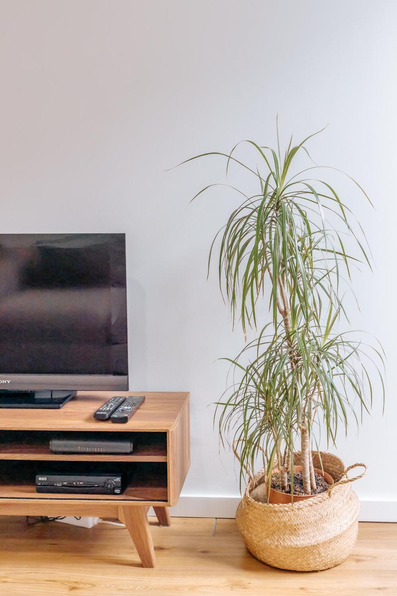 Apartment Aquilla's Alfama By Mycelia *
