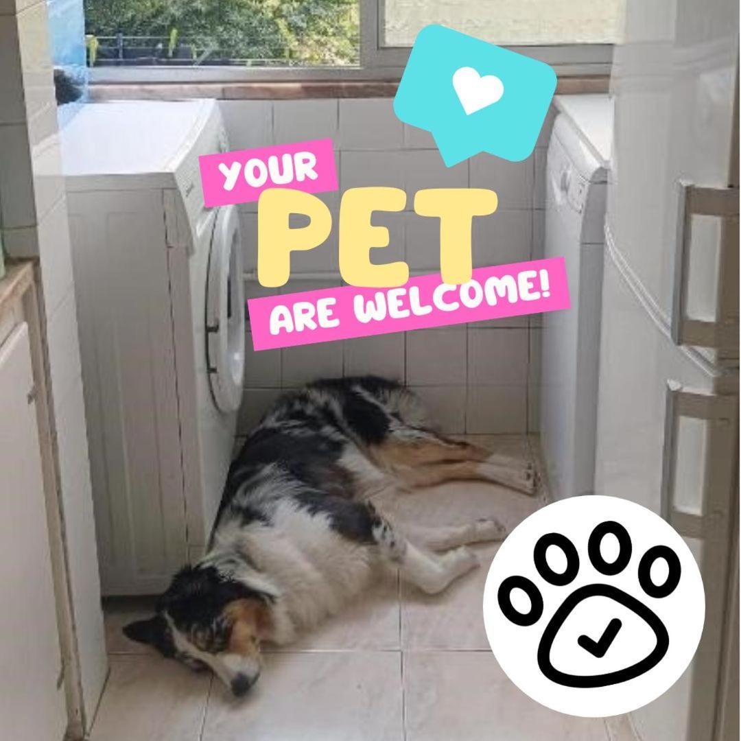 Homestay Private Rooms In Shared Apartment - Shared Bathroom And Dog Friendly *