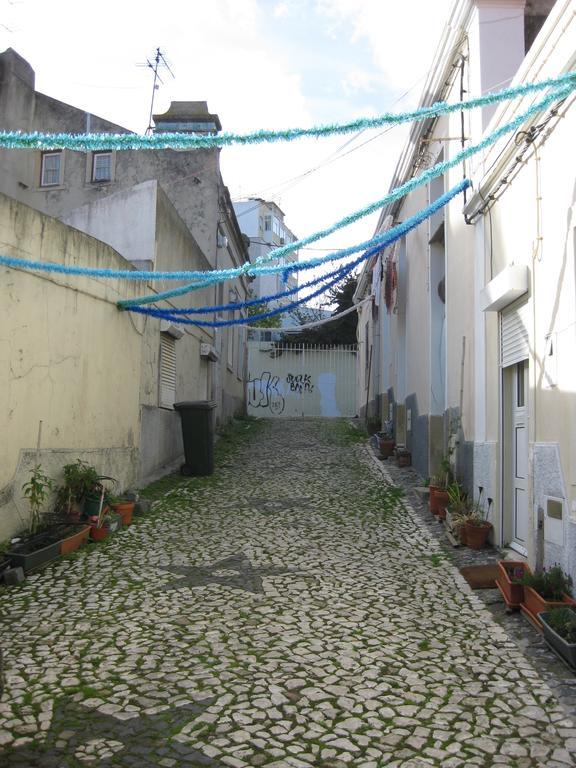 The Back Yard Nest Apartment Lisbon
