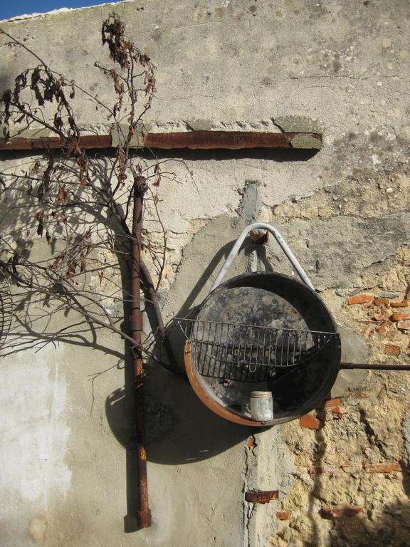 The Back Yard Nest Lisbon