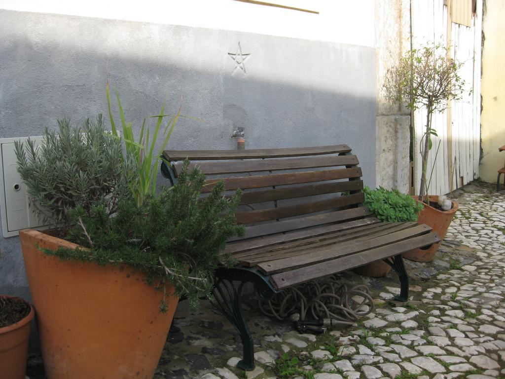 The Back Yard Nest *