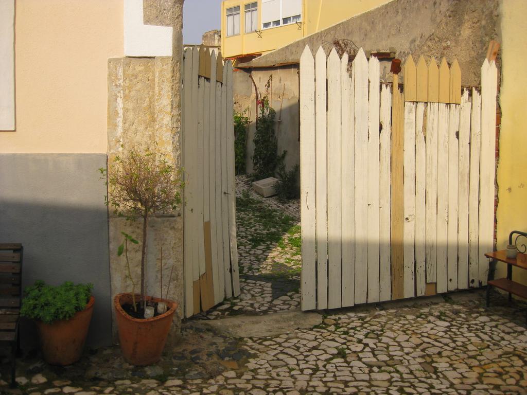 The Back Yard Nest * Lisbon