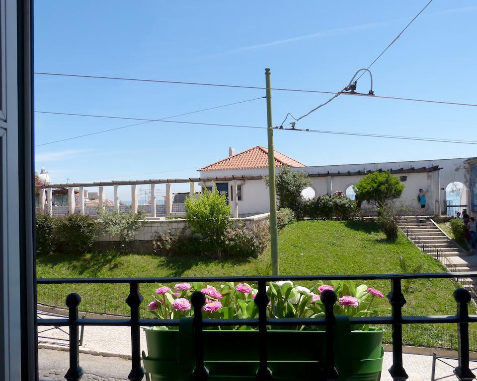 Dalma Flats - Garden * Lisbon