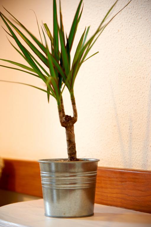 Apartment Central Garden Saldanha Lisbon